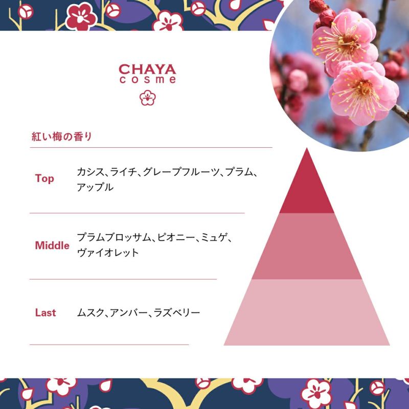flavia PREMIUM CREAM プレミアムクリーム flavia PREMIUM CREAM プレミアムクリーム